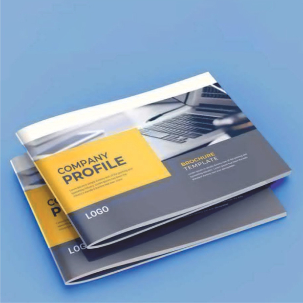Company Profiles